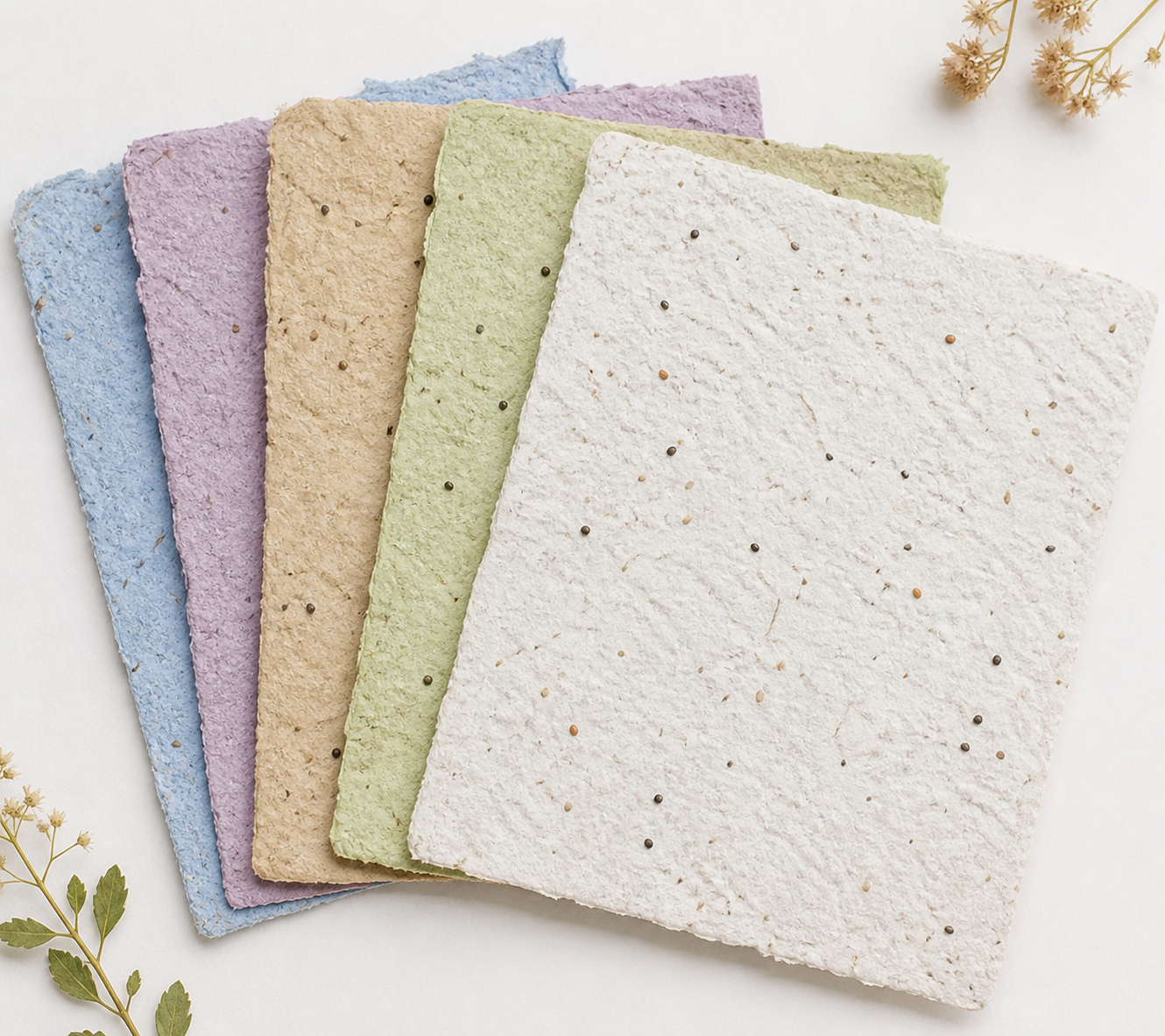 Seed Paper Products